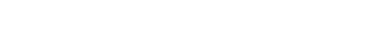 Network Partners Logo